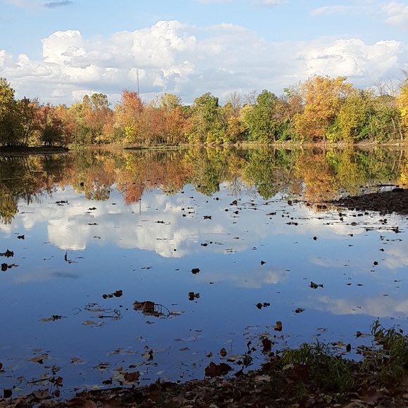 Meet your Posher, Jennifer - Picture 1 of 1